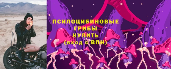 PSILOCYBIN Усинск