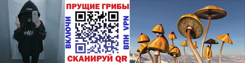 Галлюциногенные грибы Magic Shrooms  Купить  Волжск 